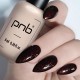 Гел лак PNB 8 мл 107